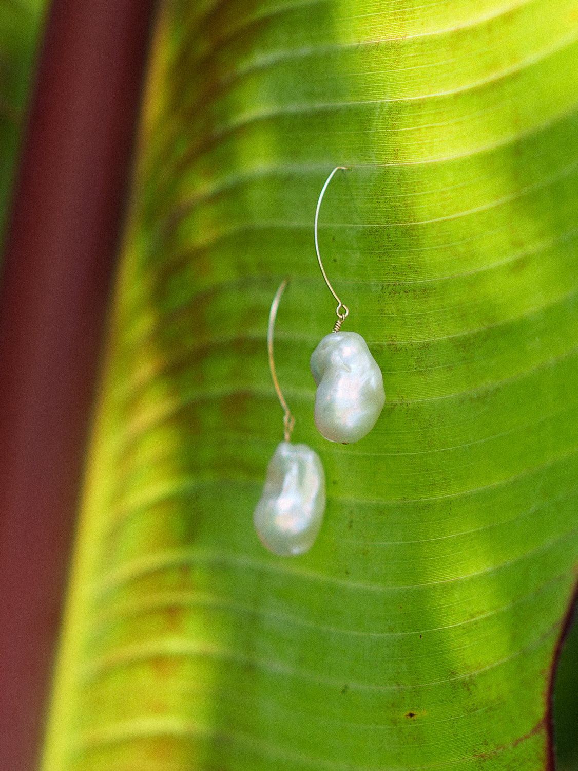 The Pearl Drop Earrings